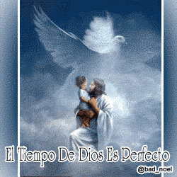 ebv2909's profile picture. 