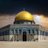 alhaqiqa_y's profile image