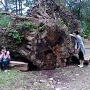 katrina javier - @cut3najavier - Twitter