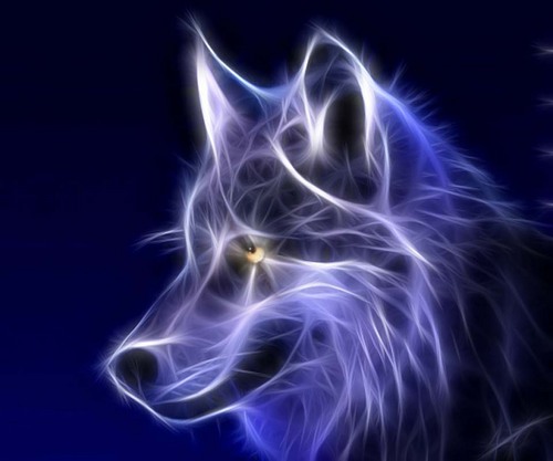 SweetSouthern81's profile picture. 