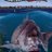 fishing_fever's profile image