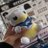 Morino_sabu's profile image
