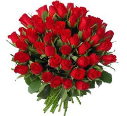 11roses's profile picture. 