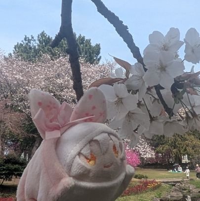 泉 雪@お取引用