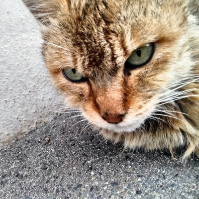 ♥ふじちゃん♥