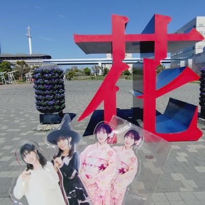 桜坂のんゆー/花束💐🌸🐈