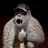 crypto_mecca's profile image