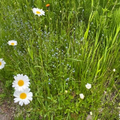 r8o70's profile picture. 