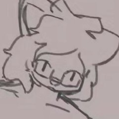 Moccha (gold edition dlc pro max v2)