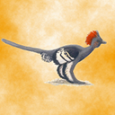 Bernard Hurley - @HurleyBernard - Twitter