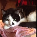 James becvar - @250flamesfan - Twitter