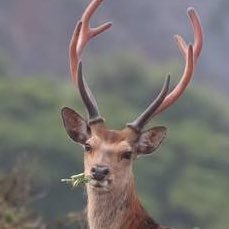 ゆあもに〜〜だもに〜たぶりゅだじん！！