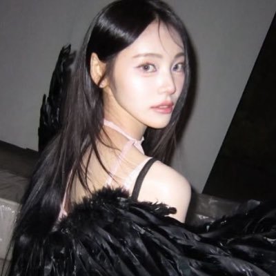 shadowcresct's profile picture. very fond of zatanna and columbina