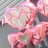 flower__orange's profile image