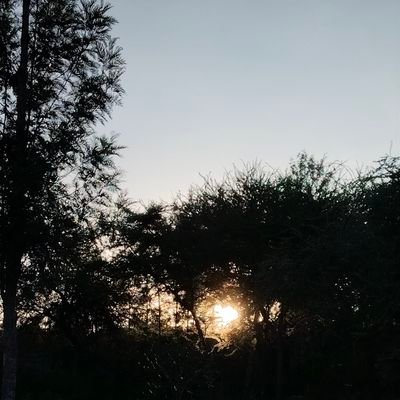 Dansh254gmailc1's profile picture. Statistician. Data analyst. Consultant on Health issues. #Founder ~ RICKSAPHER TOURS & TRAVELS. #Founder ~ AFRIFRED FOODS #Founder ~ KÎTHÎO KITÛ Proudly African