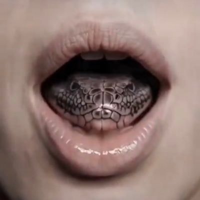 STE2WDS's profile picture. POEM. POETRY. POETS. POEMS. POETIC. POESY. 🇵🇷🇨🇺🇩🇴🇲🇽🇪🇨🇧🇷🇵🇦🇳🇮🇸🇻🇬🇹🇨🇷🇻🇪🇪🇸🇻🇮🇨🇱🇵🇪🇭🇳🇦🇷