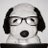 caliupy's profile image