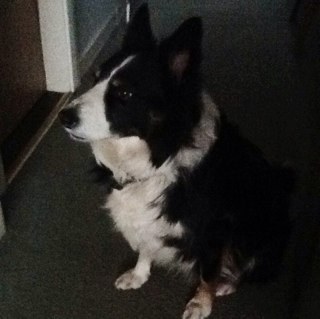 bisse_evi's profile picture. 