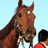 opdtletsgohbgo's profile image