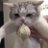 dyungmand's profile image