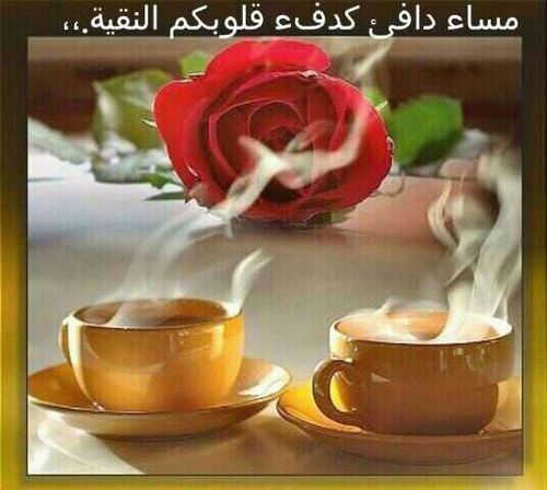 mmm9992's profile picture. همي نصرت ديني وتربيه جيل يحاكي. جيل الصحابه.