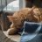 alisonstewart7's profile image