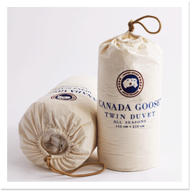 canadagoosehome's profile picture. http://t.co/1stxhIGbCh