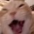 Laurinn's profile image