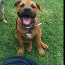 Andrea Thomson - @Andreatlps - Twitter