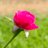 NanditaBeh7673's profile image
