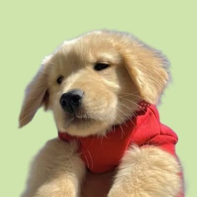 madangdivah ★ 🦆🐇🍅🥬★