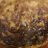 Rio_arf4's profile image