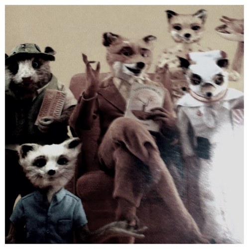 burntt0ast's profile picture. i like christmas lights. i like street lights. i like night lights.