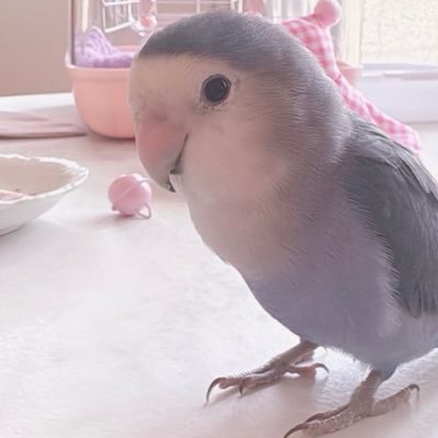 ソラ
