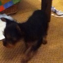 jack gilmour - @jacktgee - Twitter