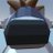 SpaceOmeletYa's profile image