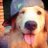 Glislock's profile image