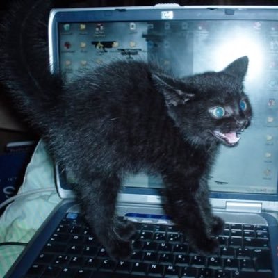 lori ˗ˏˋ ♡ ´ˎ˗