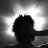 n__i17's profile image