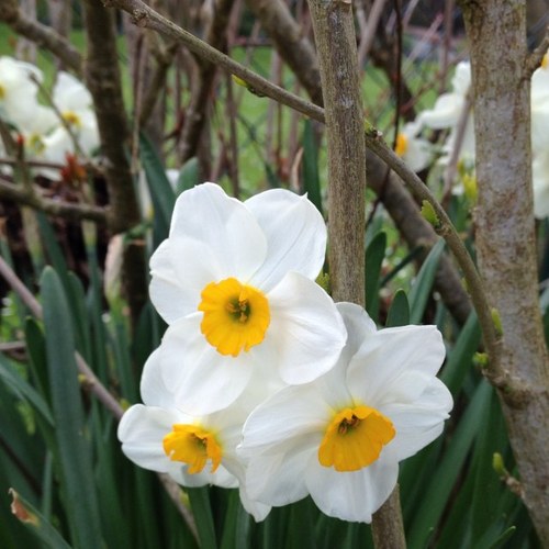 carmenquerol's profile picture. 