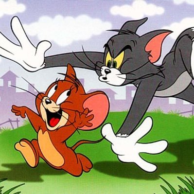 The Funny Fɪɢʜᴛ ᴀɴɪᴍᴀʟ