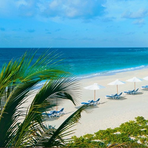 texasgulfbreeze's profile picture. 