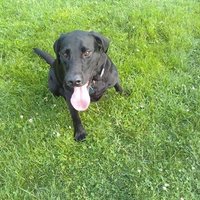 Doug Neely (@divot1000) 's Twitter Profile