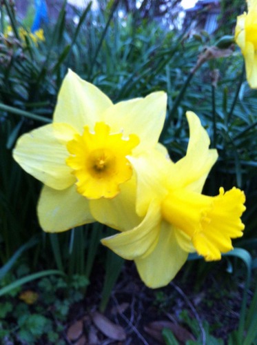 kazukomasuda's profile picture. 静岡県御前崎市