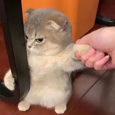 U (상태: 존나정신병자)