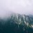 Dedek_lapang's profile image
