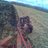 VanGroll1's profile image
