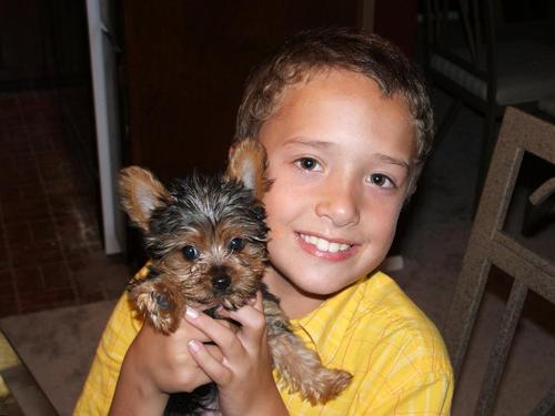 EthanTS's profile picture. 