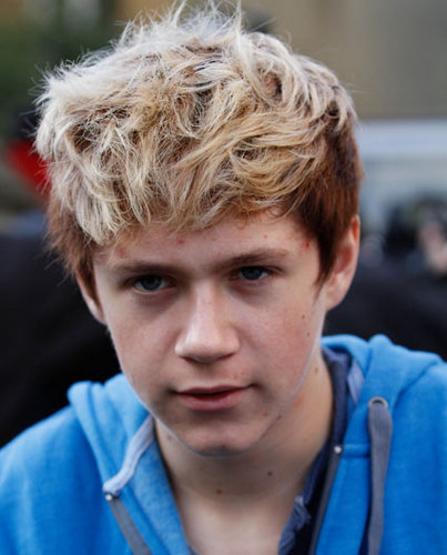 xxNiallHoran's profile picture. [FL]. I'm Niall Horan. I'm Irish, and I am part of a pretty awesome boyband. [Single/Bi]