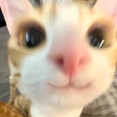 로나(쿱미새 모드)